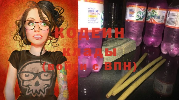 дурь Алзамай