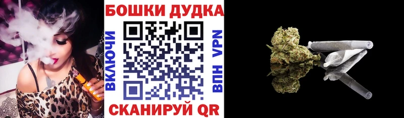 Бошки марихуана сатива  Аша 