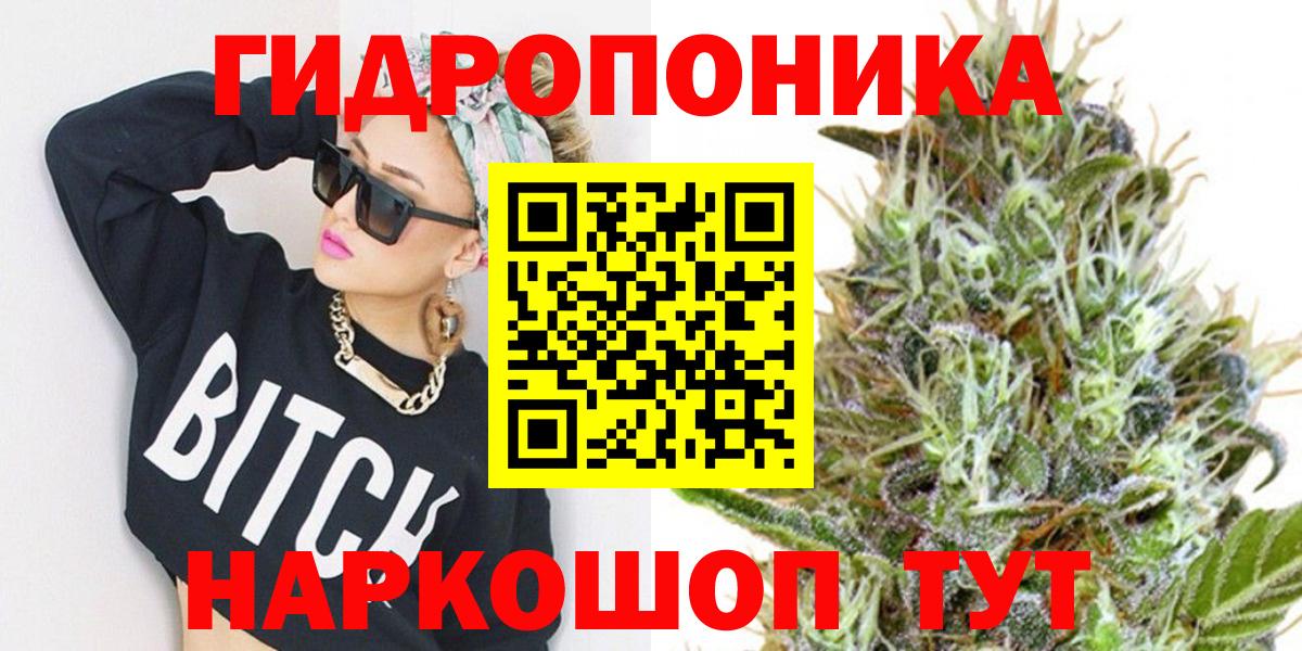 Каннабис OG Kush Аша